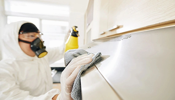 Household Mold Removal Service
